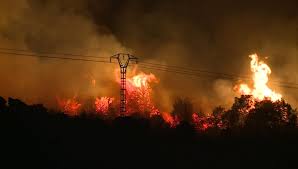 La Comunidad de Madrid sufre este año el mayor número de hectáreas quemadas en lo que llevamos de siglo